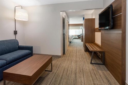 Holiday Inn Express Hotel & Suites Marana image 6